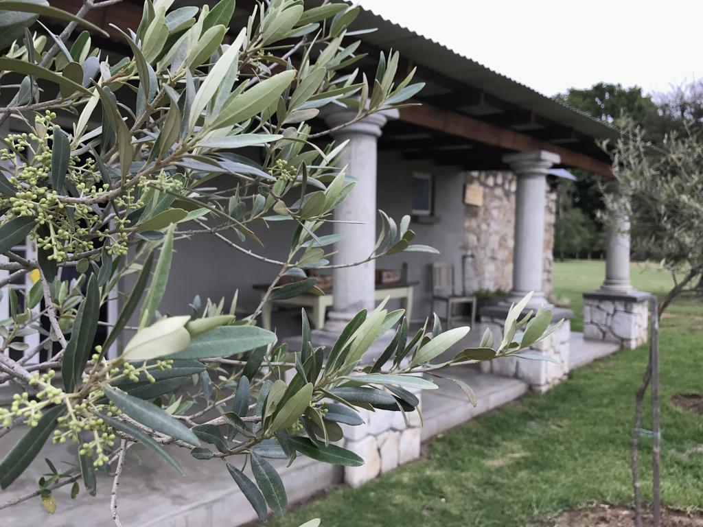 Florence Guest Farm Hotel Chrissiesmeer Exterior foto